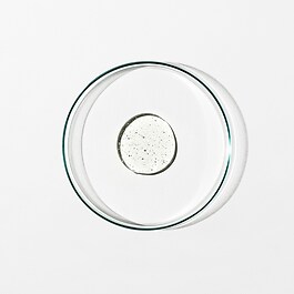 Detox Shampoo 0.1